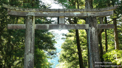 Tochigi, Japan: A Breathtaking Escape from the City Life of Tokyo